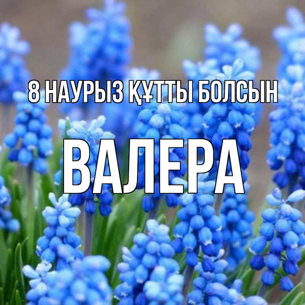 Күн сайын ашық хат с именем, Валера 8 наурыз құтты болсын Поздравительная открытка для женщин с цветами на праздничную дату Онлайн тегін жүктеп алу тілектері бар керемет карта 