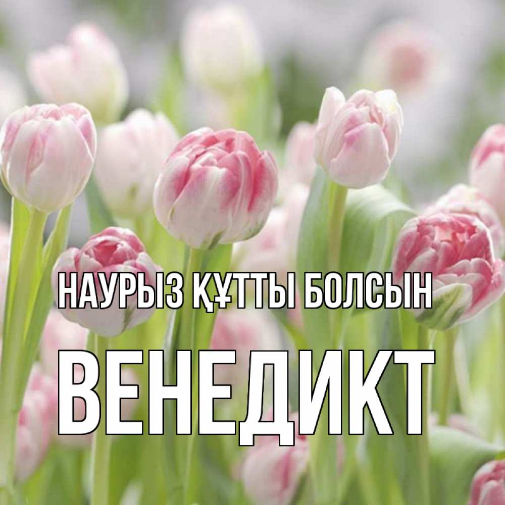 Күн сайын ашық хат с именем, Венедикт Наурыз құтты болсын цветы Онлайн тегін жүктеп алу тілектері бар керемет карта 
