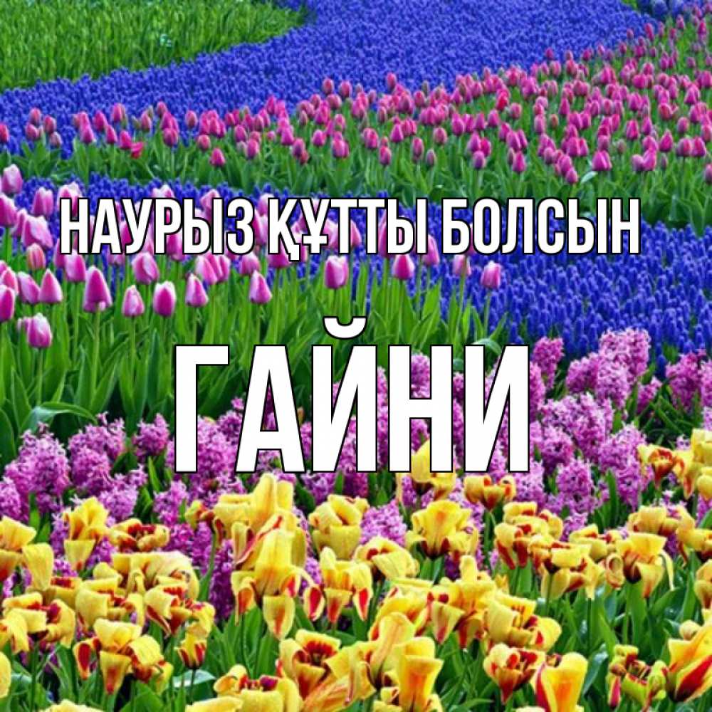 Күн сайын ашық хат с именем, ГАЙНИ Наурыз құтты болсын цветы Онлайн тегін жүктеп алу тілектері бар керемет карта 
