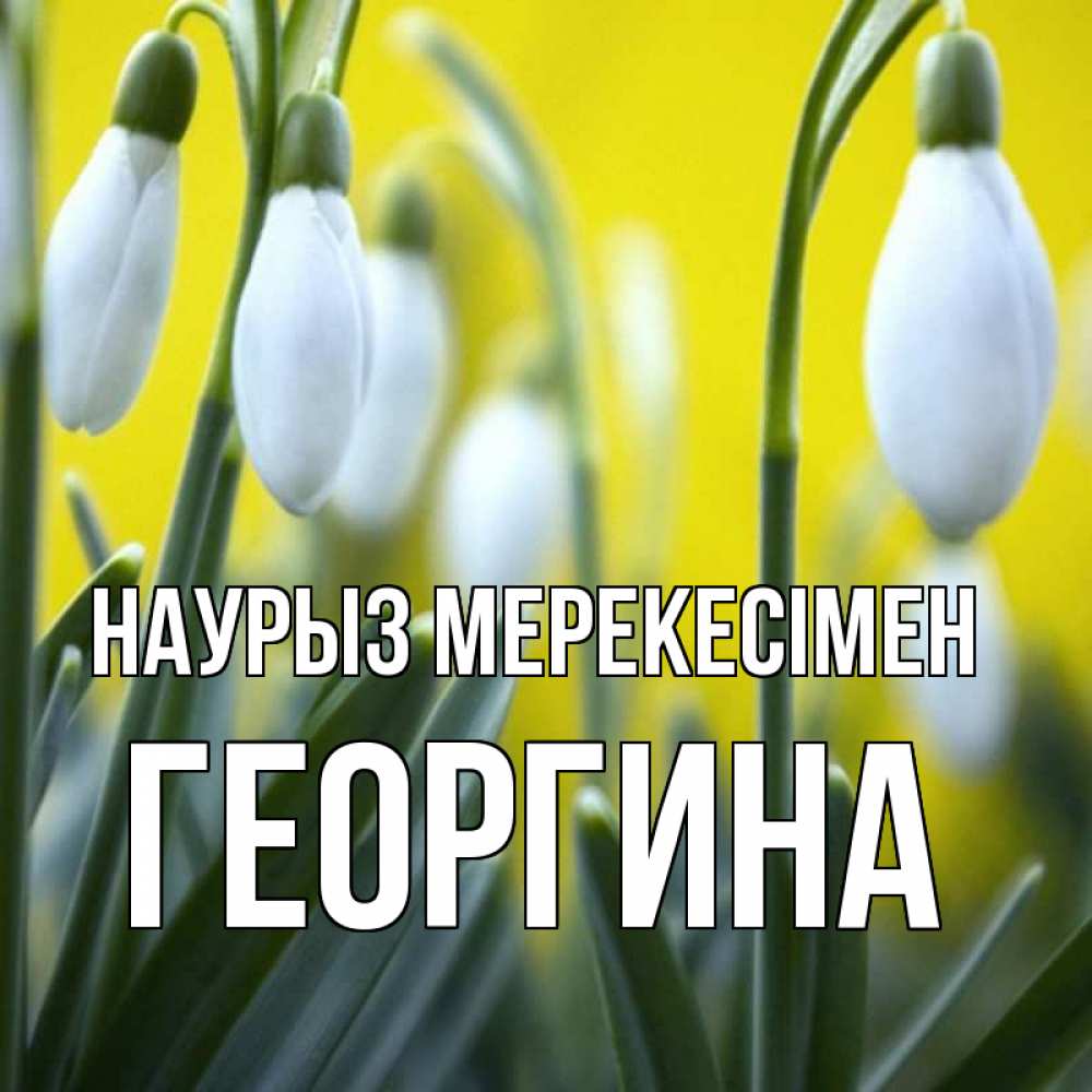 Күн сайын ашық хат с именем, Георгина Наурыз мерекесімен весенние цветы Онлайн тегін жүктеп алу тілектері бар керемет карта 