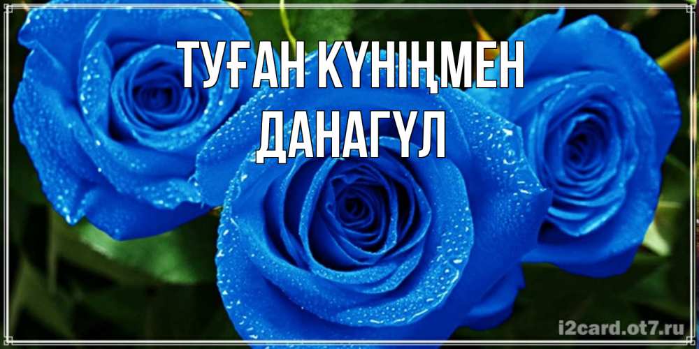 Күн сайын ашық хат с именем, ДАНАГҮЛ Туған күніңмен розы с синим цветом Онлайн тегін жүктеп алу тілектері бар керемет карта 