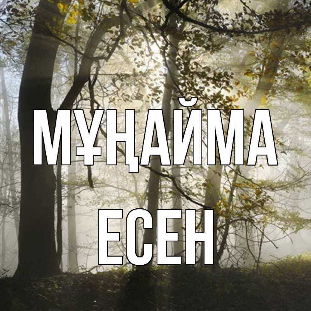 Күн сайын ашық хат с именем, Есен Мұңайма лес и свет Онлайн тегін жүктеп алу тілектері бар керемет карта 