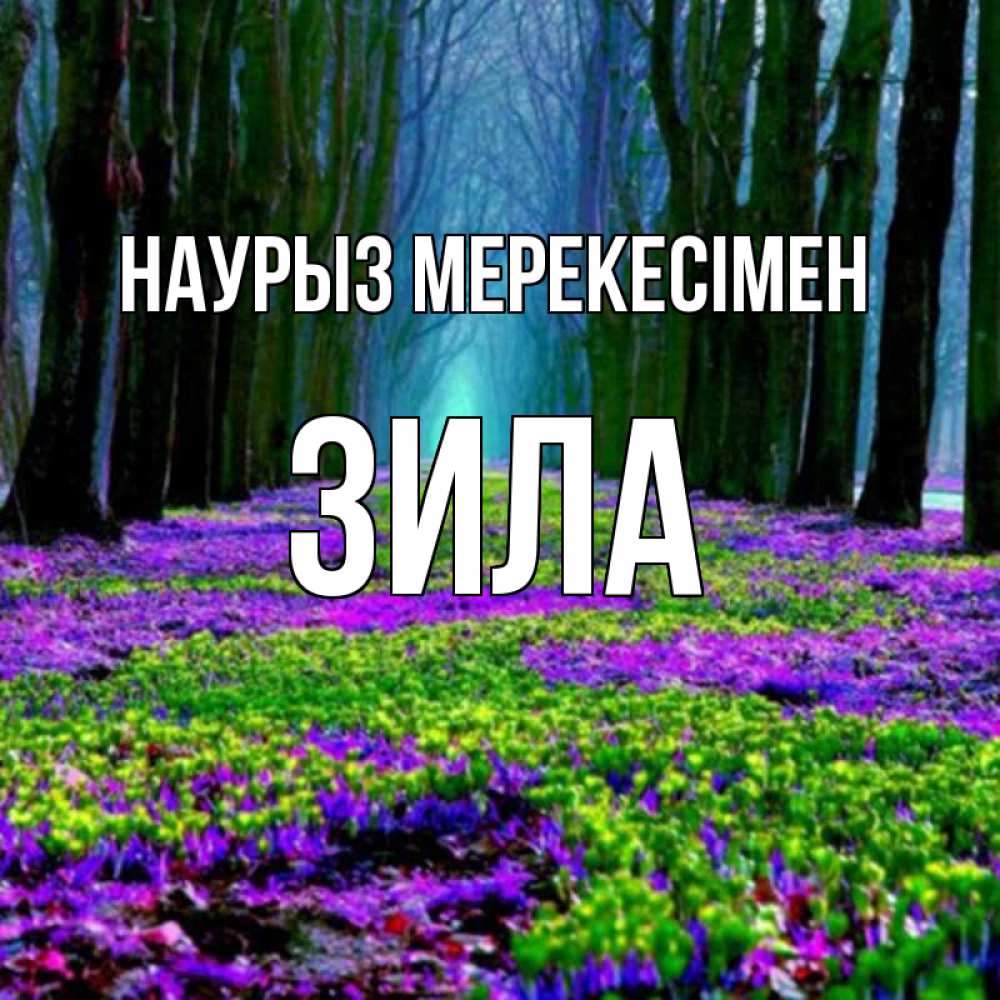 Күн сайын ашық хат с именем, ЗИЛА Наурыз мерекесімен фиолетовые цветы в лесу 1 Онлайн тегін жүктеп алу тілектері бар керемет карта 