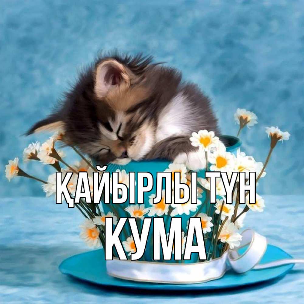 Күн сайын ашық хат с именем, Кума Қайырлы түн котенок спит в кружке с блюдцем Онлайн тегін жүктеп алу тілектері бар керемет карта 