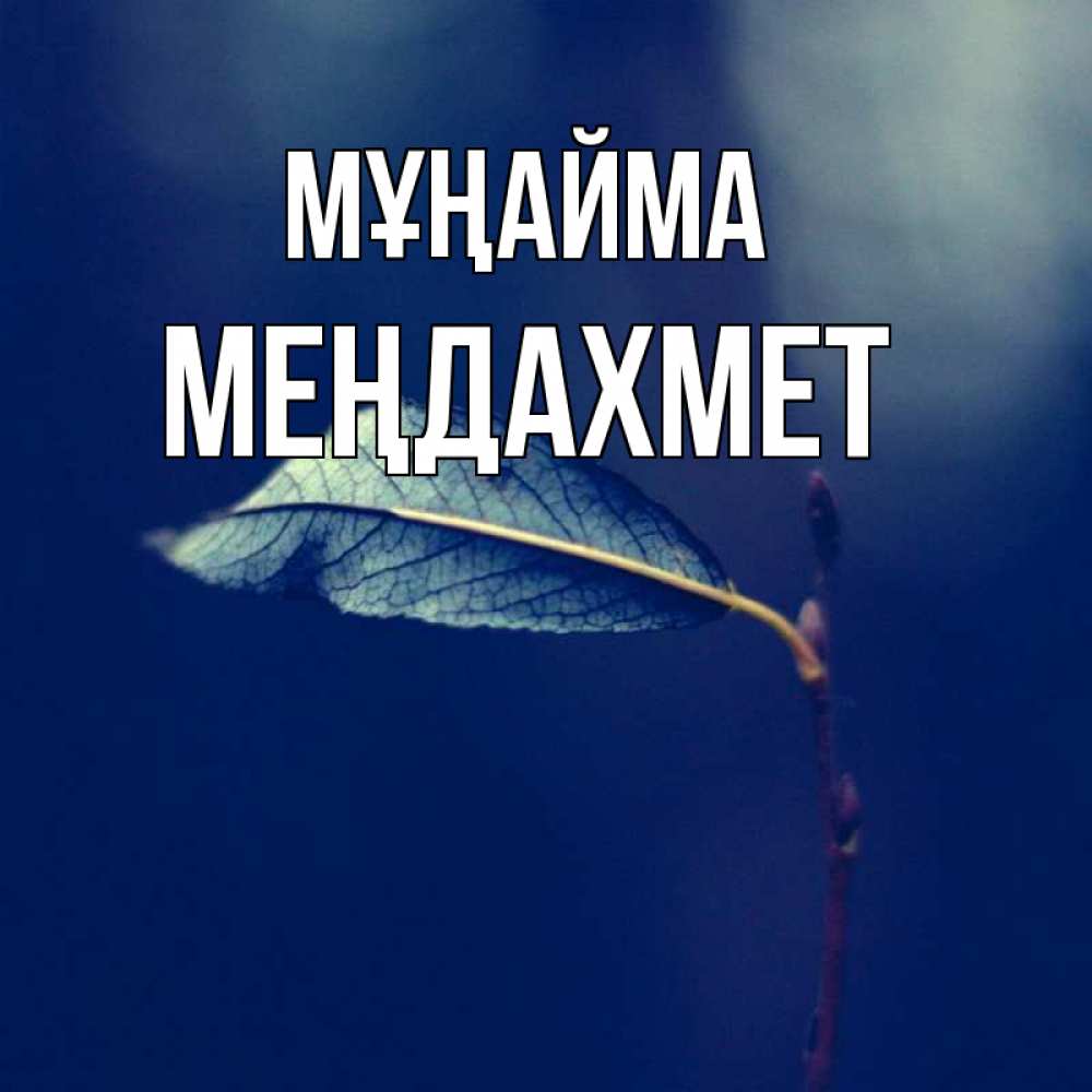 Күн сайын ашық хат с именем, МЕҢДАХМЕТ Мұңайма растение Онлайн тегін жүктеп алу тілектері бар керемет карта 