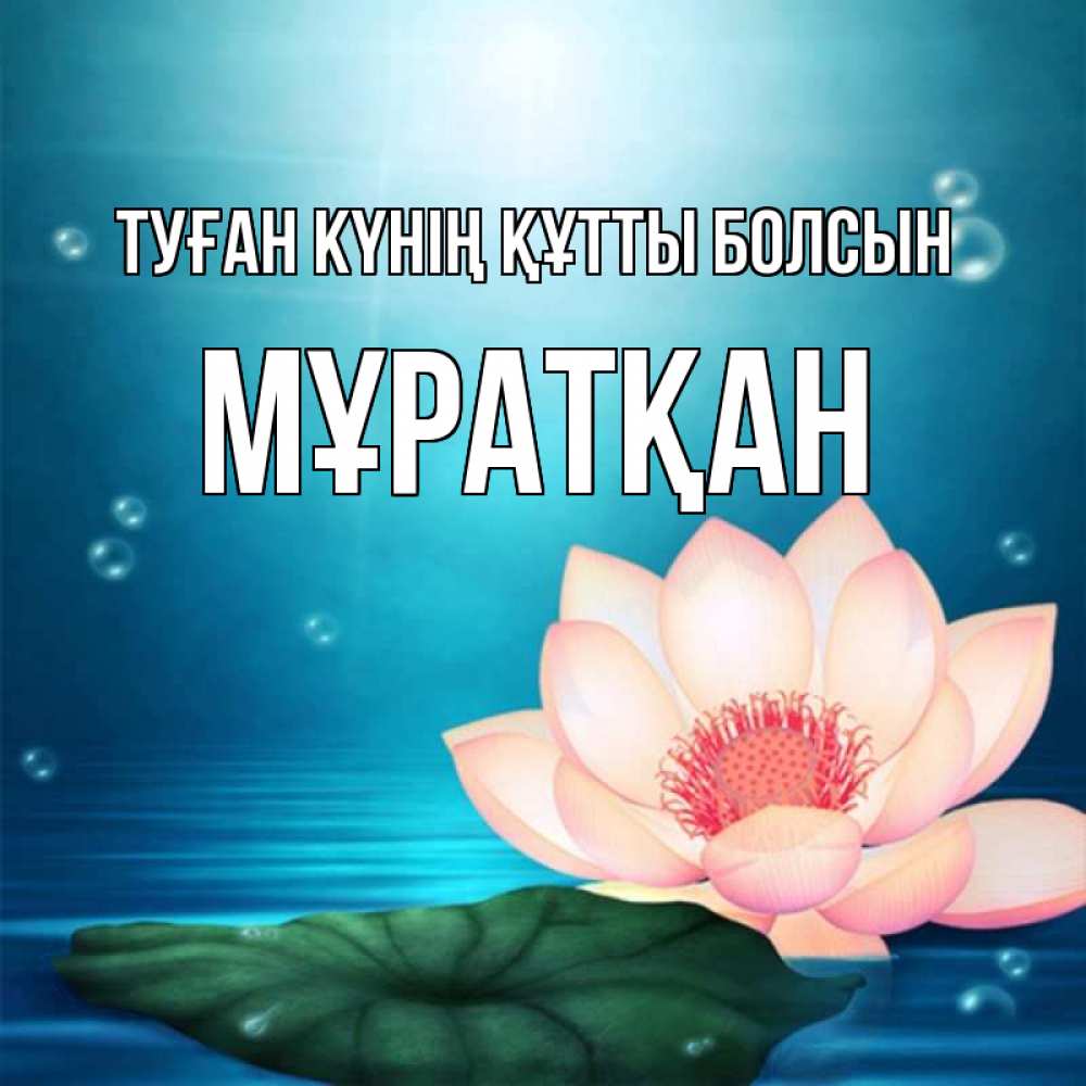 Күн сайын ашық хат с именем, Мұратқан Туған күнің құтты болсын кувшинка Онлайн тегін жүктеп алу тілектері бар керемет карта 