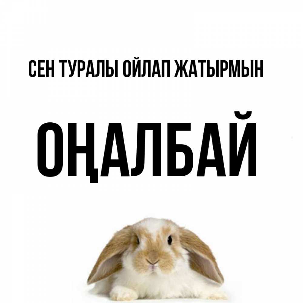 Күн сайын ашық хат с именем, ОҢАЛБАЙ Сен туралы ойлап жатырмын подписать своими руками онлайн Онлайн тегін жүктеп алу тілектері бар керемет карта 