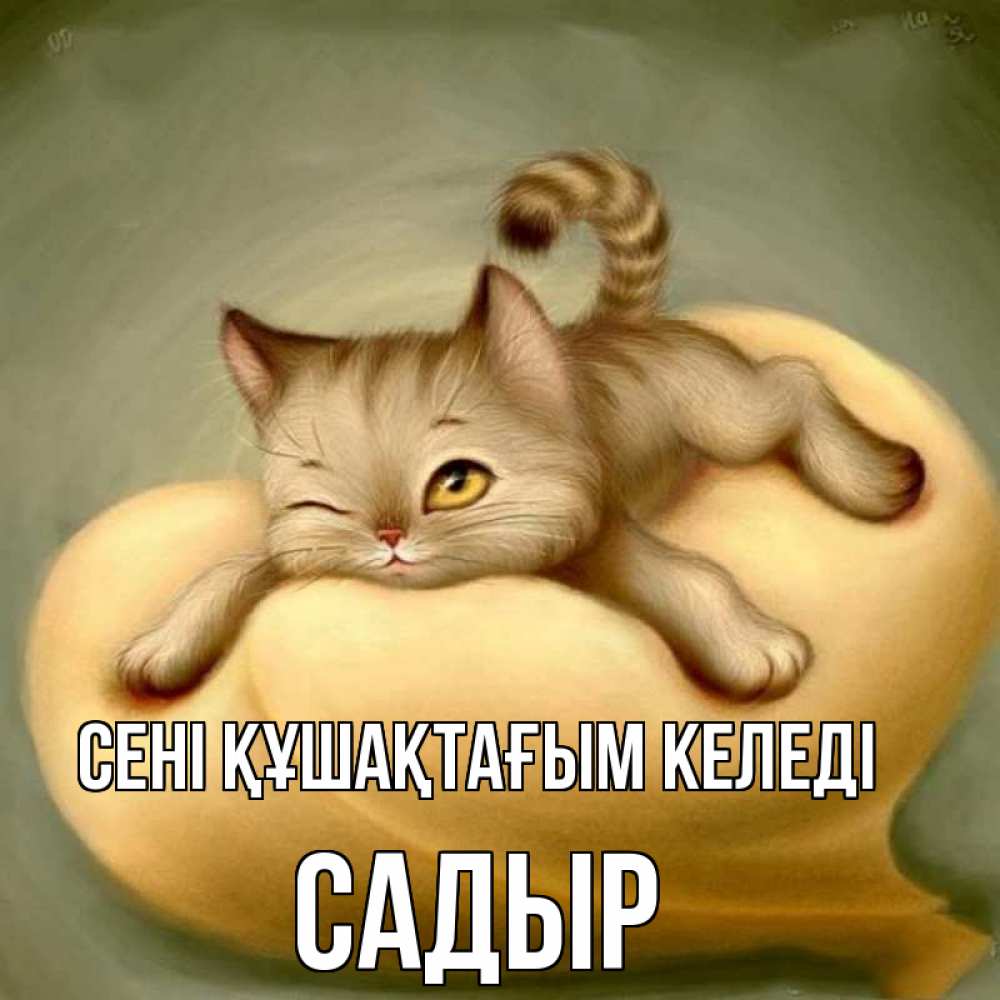 Күн сайын ашық хат с именем, САДЫР сені құшақтағым келеді кошечка Онлайн тегін жүктеп алу тілектері бар керемет карта 