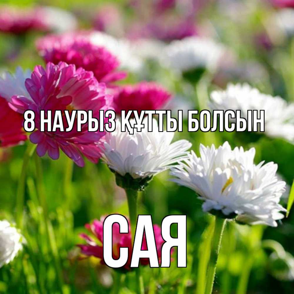 Күн сайын ашық хат с именем, САЯ 8 наурыз құтты болсын международный женский день 1 Онлайн тегін жүктеп алу тілектері бар керемет карта 