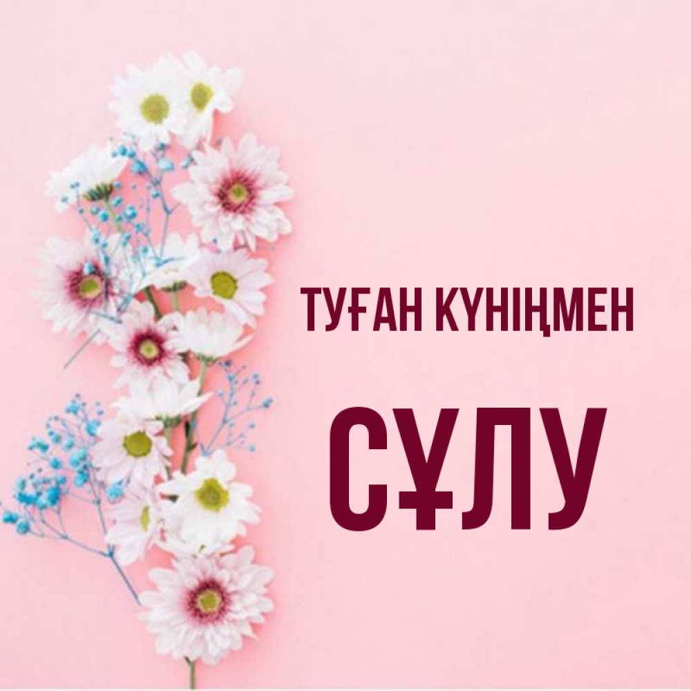Күн сайын ашық хат с именем, СҰЛУ Туған күніңмен Родная моя с днем рождения тебя картинка с цветами белыми и голубыми Онлайн тегін жүктеп алу тілектері бар керемет карта 