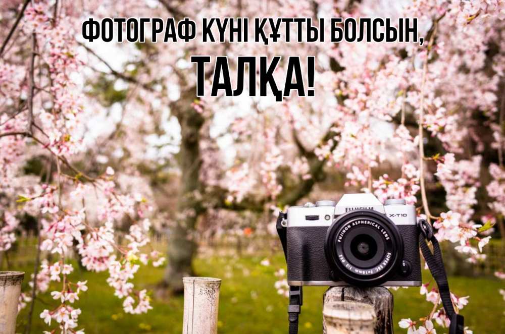 Күн сайын ашық хат с именем, ТАЛҚА Фотограф күні құтты болсын сирень с днем фотографа, фотоаппарат Онлайн тегін жүктеп алу тілектері бар керемет карта 