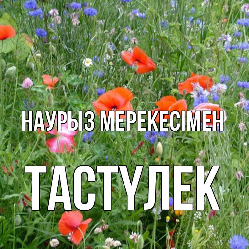 Күн сайын ашық хат с именем, ТАСТҮЛЕК Наурыз мерекесімен праздник весны наурыз супер открытка Онлайн тегін жүктеп алу тілектері бар керемет карта 