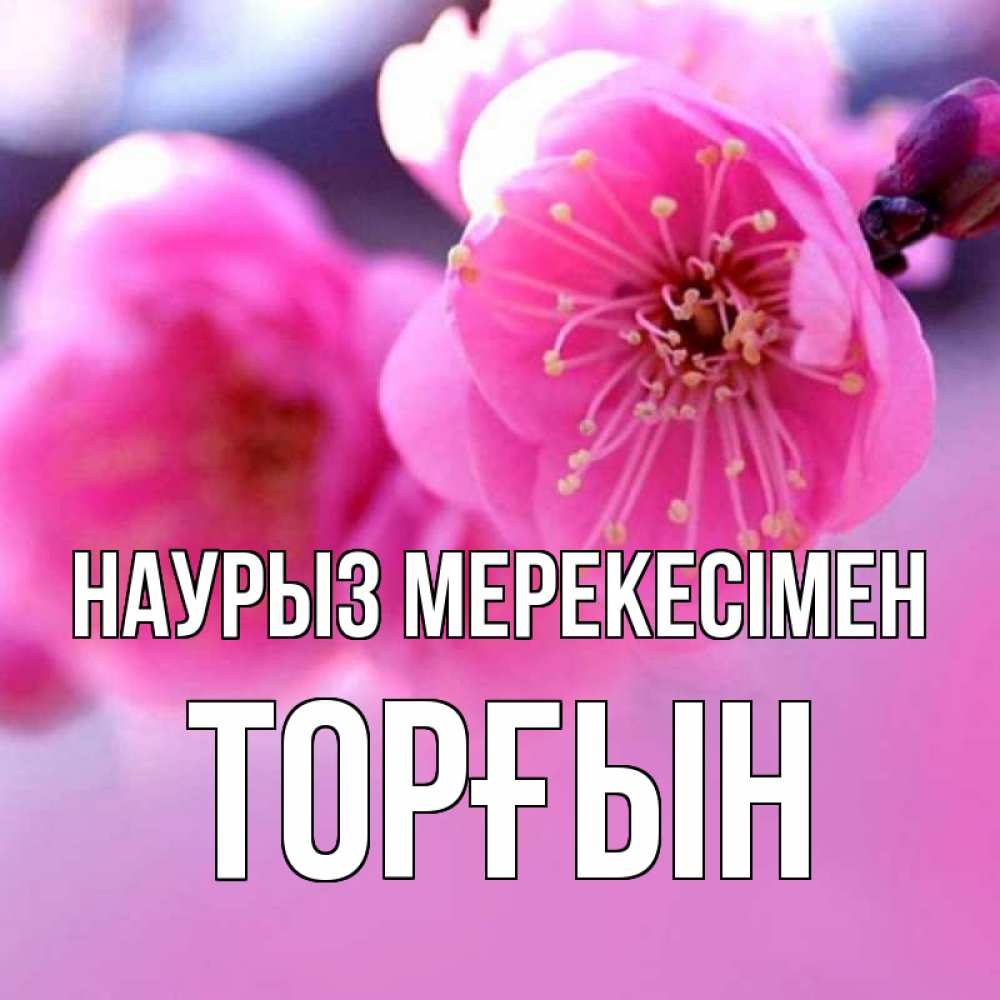 Күн сайын ашық хат с именем, ТОРҒЫН Наурыз мерекесімен международный женский день Онлайн тегін жүктеп алу тілектері бар керемет карта 