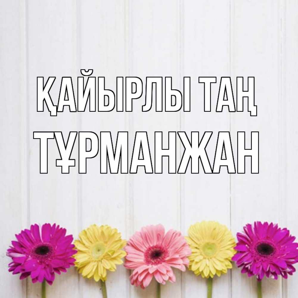 Күн сайын ашық хат с именем, ТҰРМАНЖАН Қайырлы таң красный желтый и розовый цветок Онлайн тегін жүктеп алу тілектері бар керемет карта 