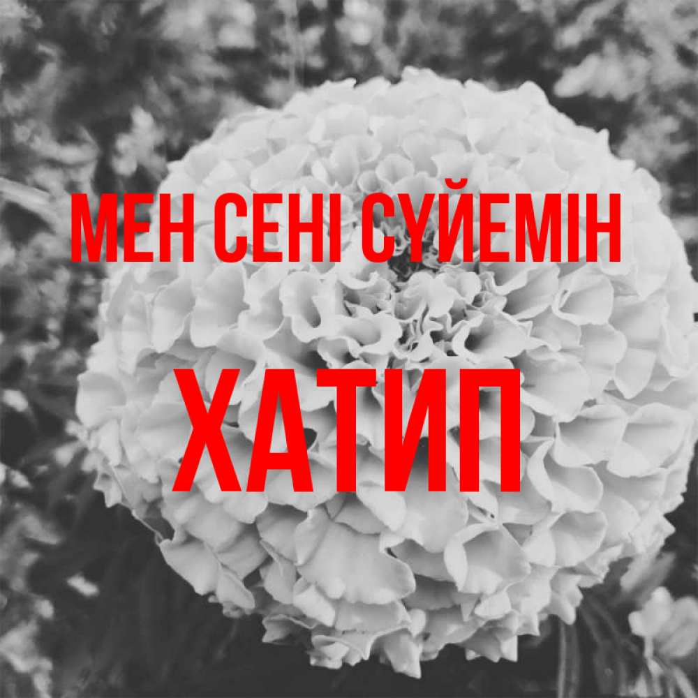 Күн сайын ашық хат с именем, ХАТИП Мен сені сүйемін подпись Онлайн тегін жүктеп алу тілектері бар керемет карта 