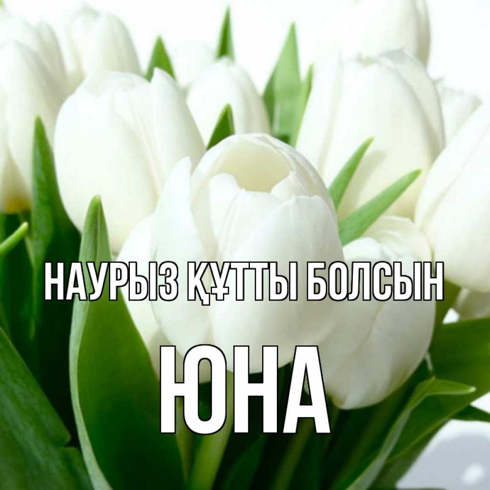 Күн сайын ашық хат с именем, Юна Наурыз құтты болсын цветы Онлайн тегін жүктеп алу тілектері бар керемет карта 
