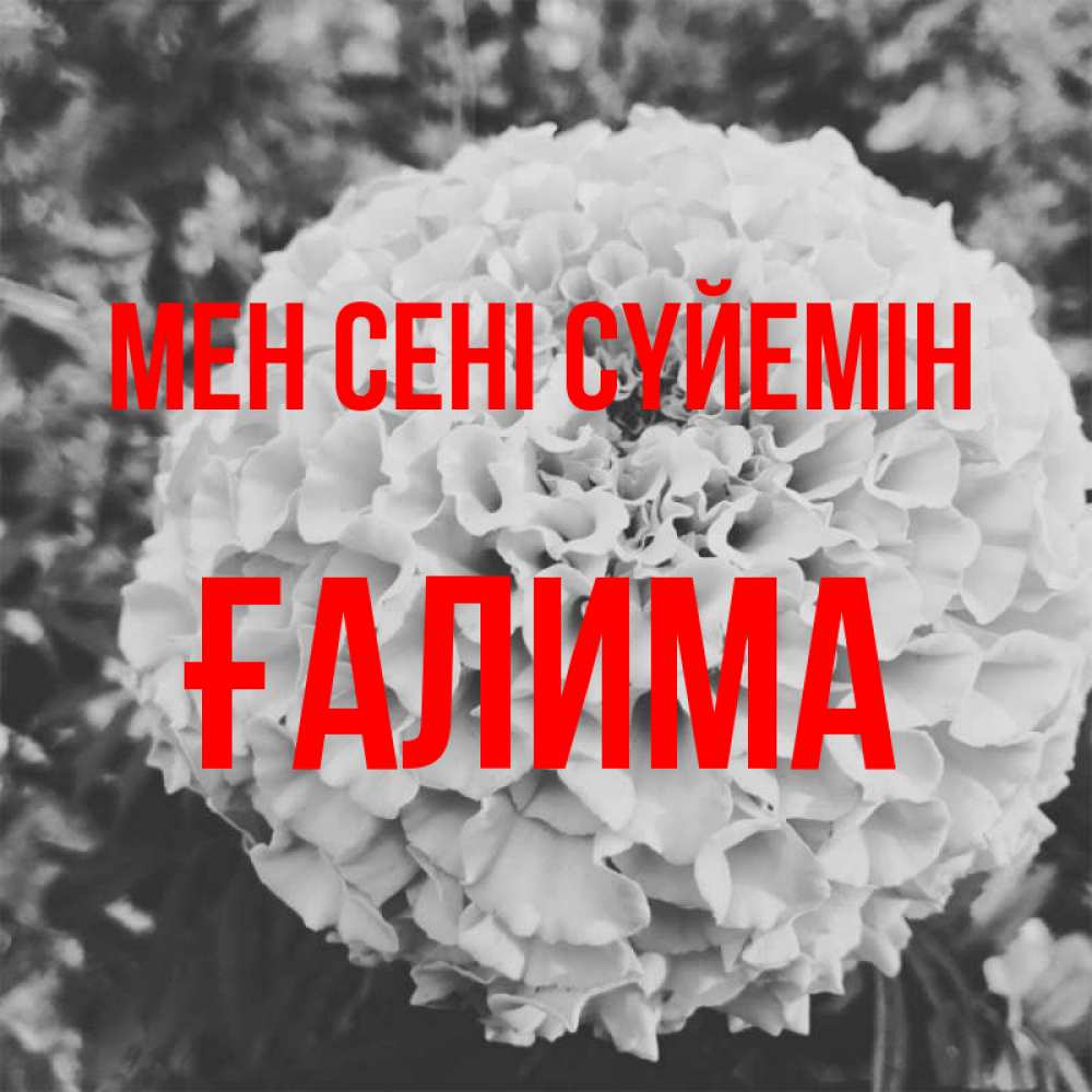 Күн сайын ашық хат с именем, ҒАЛИМА Мен сені сүйемін подпись Онлайн тегін жүктеп алу тілектері бар керемет карта 