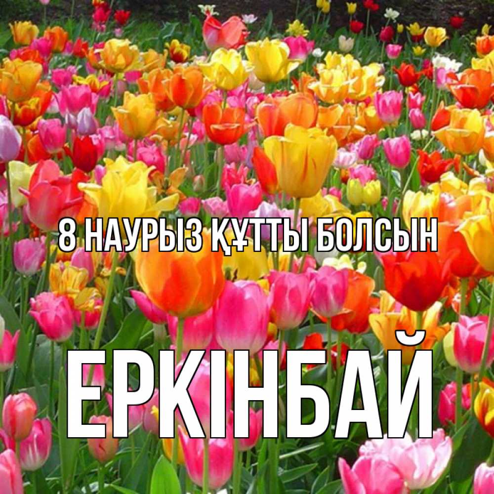 Күн сайын ашық хат с именем, Еркінбай 8 наурыз құтты болсын на международный женский день Онлайн тегін жүктеп алу тілектері бар керемет карта 
