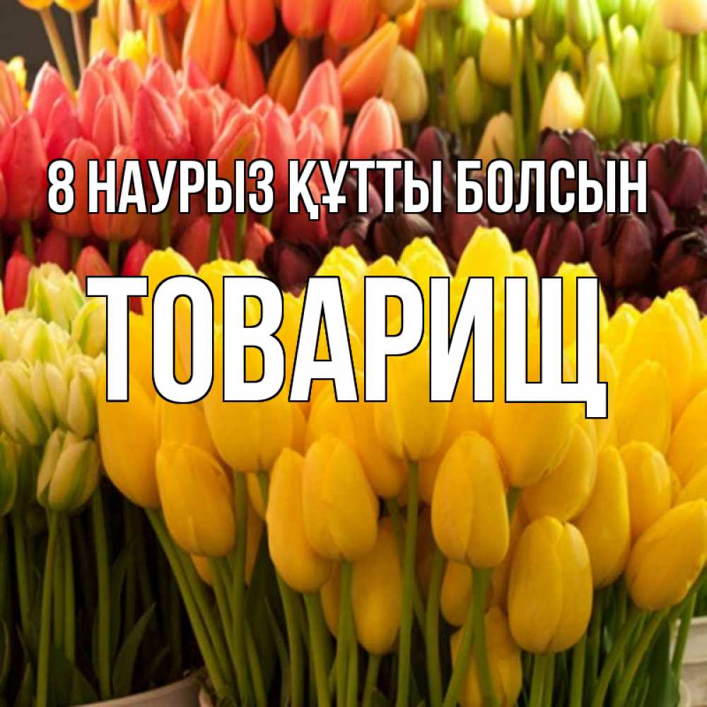 Күн сайын ашық хат с именем, Товарищ 8 наурыз құтты болсын цветы Онлайн тегін жүктеп алу тілектері бар керемет карта 