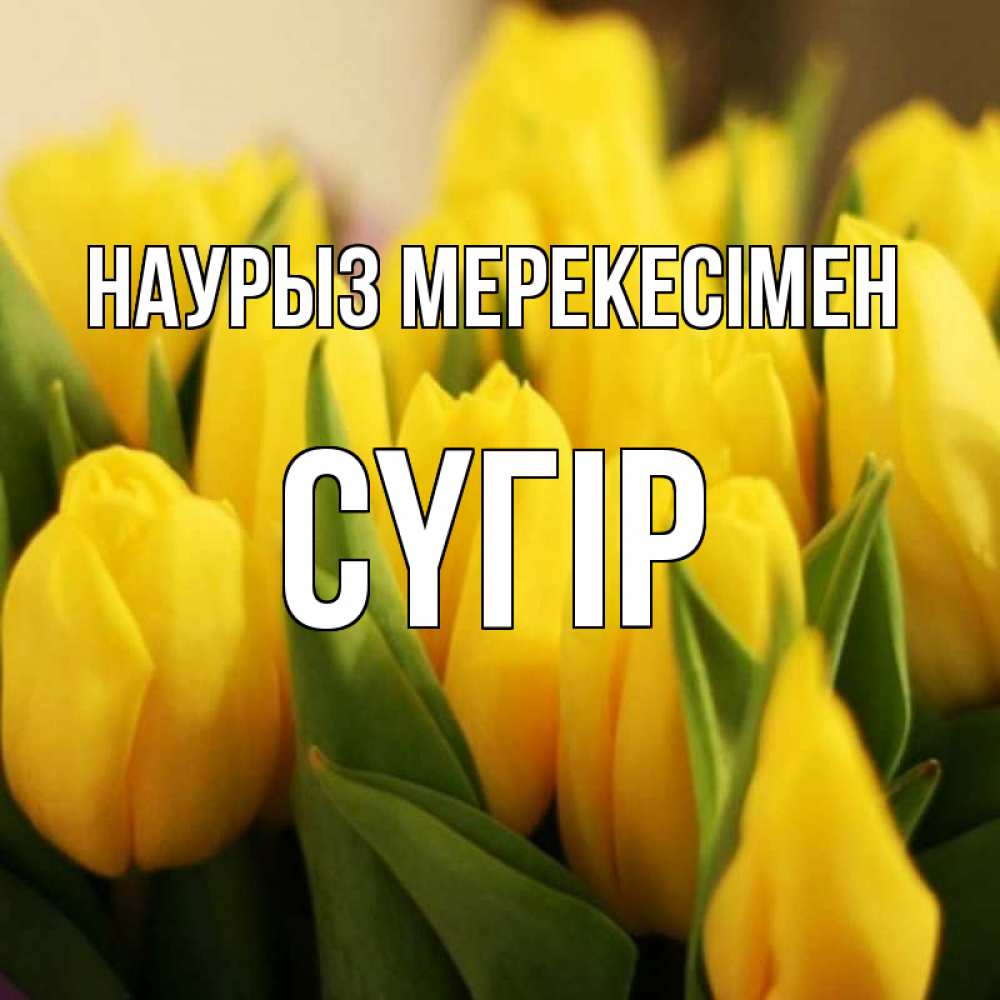 Күн сайын ашық хат с именем, СҮГІР Наурыз мерекесімен цветы Онлайн тегін жүктеп алу тілектері бар керемет карта 