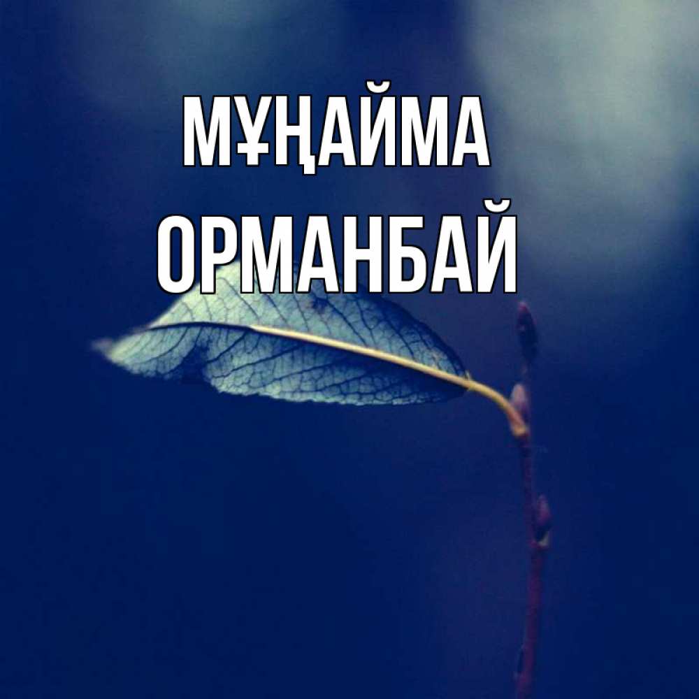 Күн сайын ашық хат с именем, ОРМАНБАЙ Мұңайма растение Онлайн тегін жүктеп алу тілектері бар керемет карта 