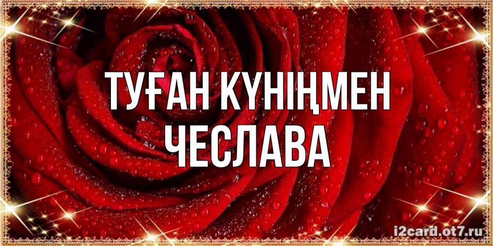 Күн сайын ашық хат с именем, Чеслава Туған күніңмен роса на розе блестящая в лучах солнца Онлайн тегін жүктеп алу тілектері бар керемет карта 