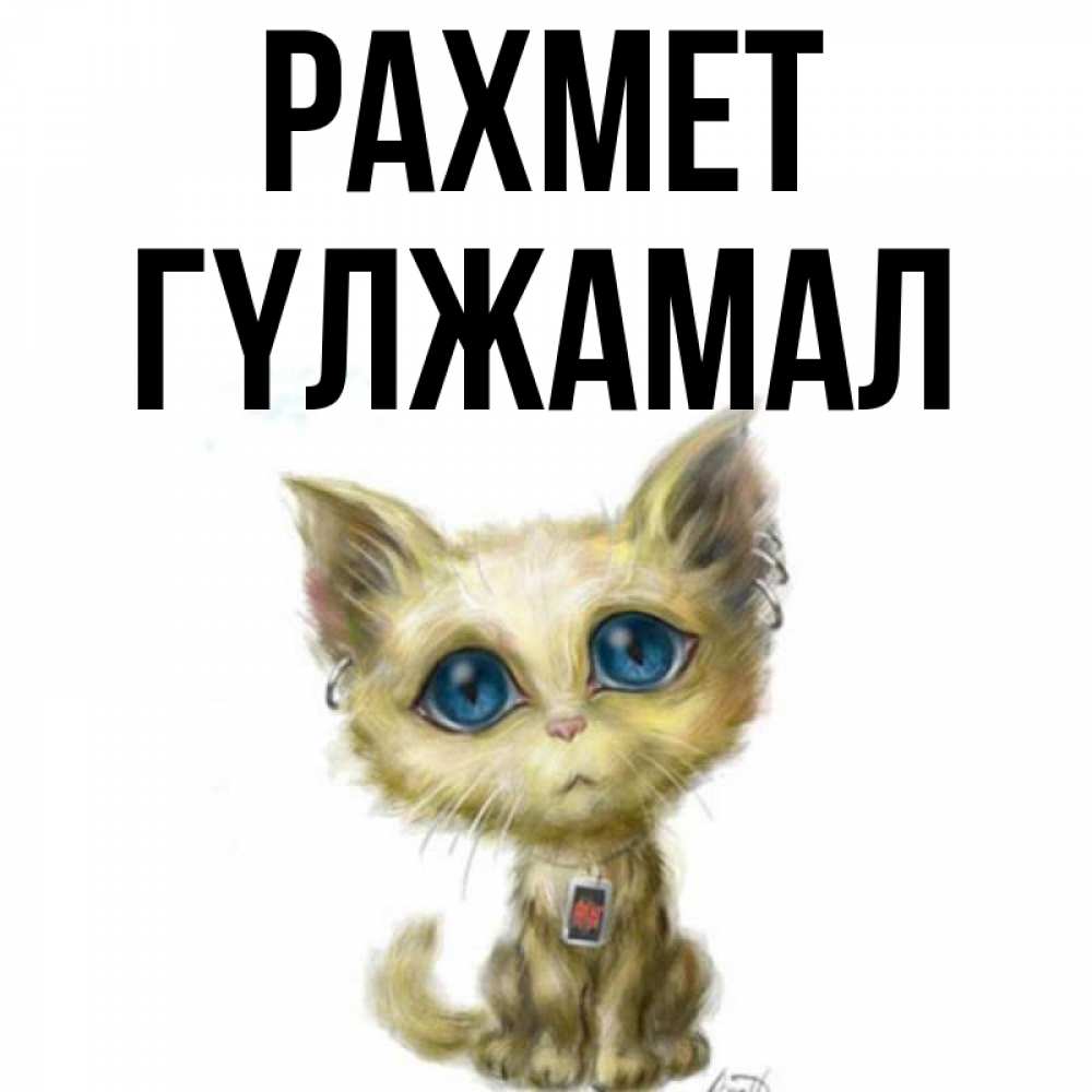 Күн сайын ашық хат с именем, ГҮЛЖАМАЛ рахмет рисованный кот благодарит вас Онлайн тегін жүктеп алу тілектері бар керемет карта 