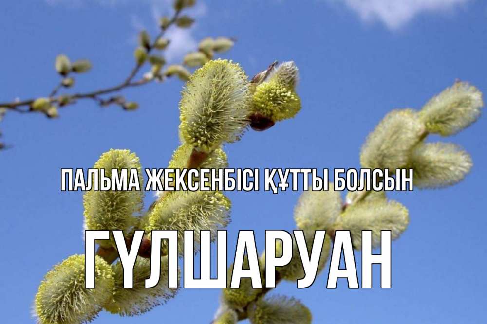 Күн сайын ашық хат с именем, ГҮЛШАРУАН Пальма жексенбісі құтты болсын верба Онлайн тегін жүктеп алу тілектері бар керемет карта 