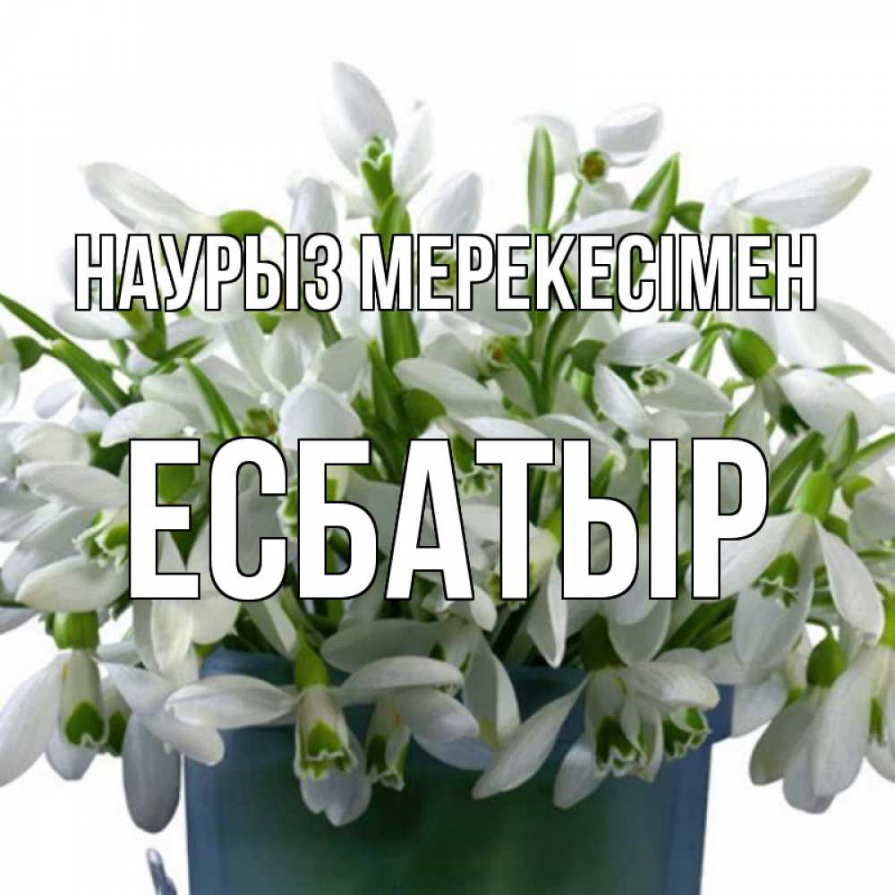 Күн сайын ашық хат с именем, Есбатыр Наурыз мерекесімен цветы к наурызу новый год в Казахстане Онлайн тегін жүктеп алу тілектері бар керемет карта 