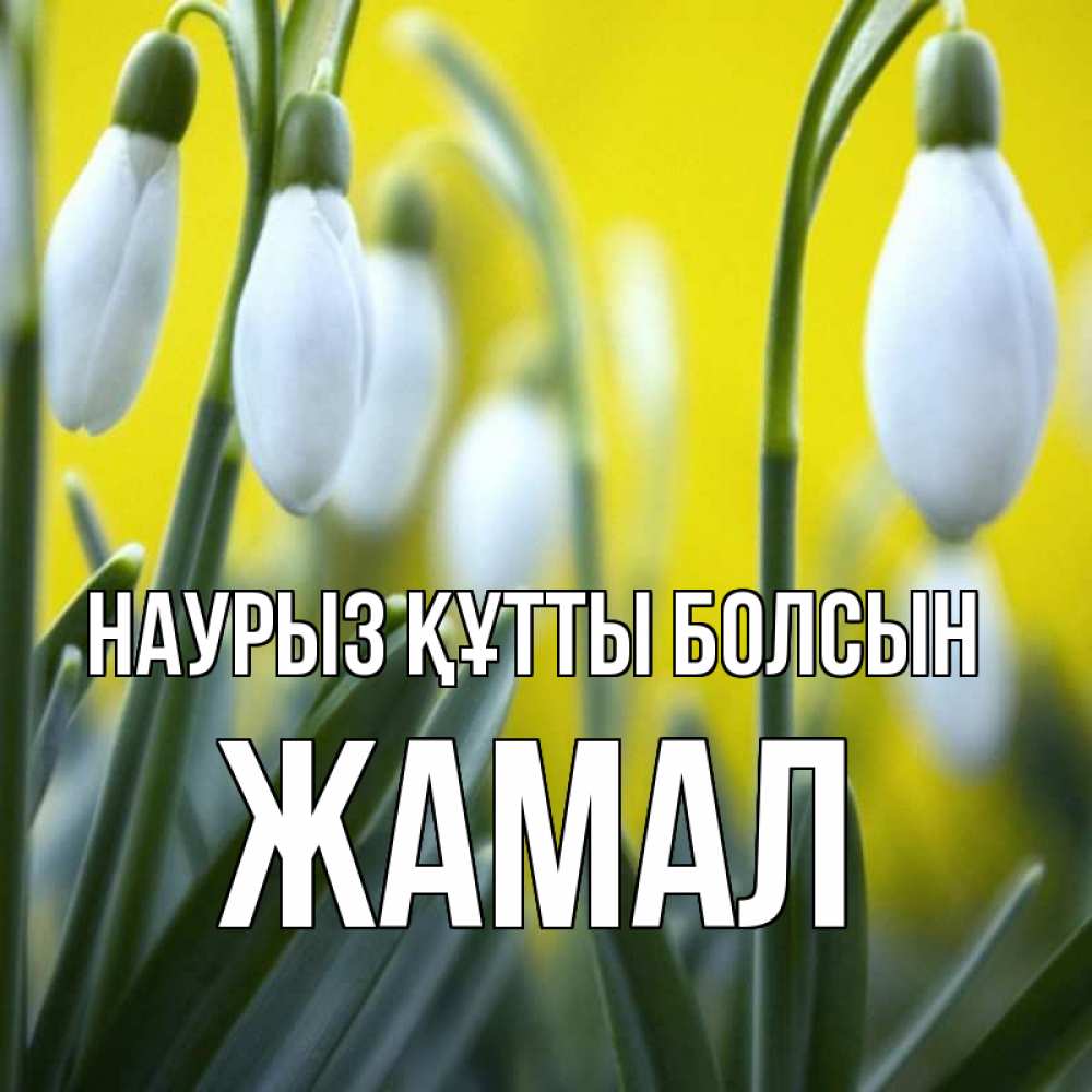 Күн сайын ашық хат с именем, ЖАМАЛ Наурыз құтты болсын весенние цветы Онлайн тегін жүктеп алу тілектері бар керемет карта 