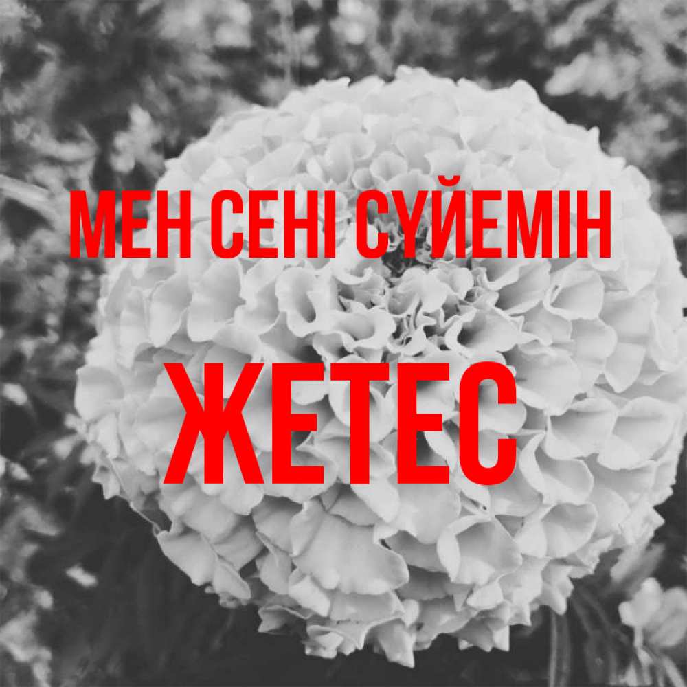 Күн сайын ашық хат с именем, Жетес Мен сені сүйемін подпись Онлайн тегін жүктеп алу тілектері бар керемет карта 
