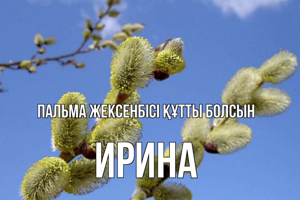 Күн сайын ашық хат с именем, Ирина Пальма жексенбісі құтты болсын верба Онлайн тегін жүктеп алу тілектері бар керемет карта 