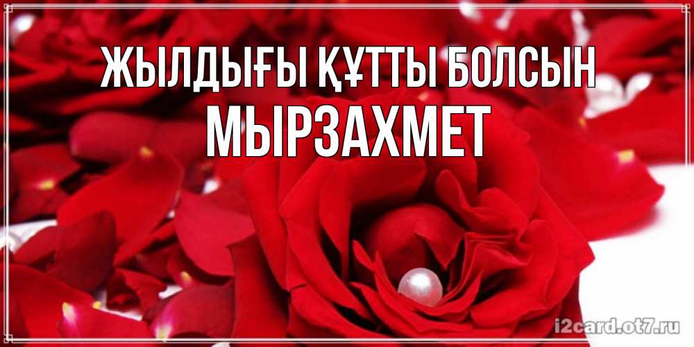 Күн сайын ашық хат с именем, МЫРЗАХМЕТ Жылдығы құтты болсын роза с жемчужиной на открытке для любимых Онлайн тегін жүктеп алу тілектері бар керемет карта 