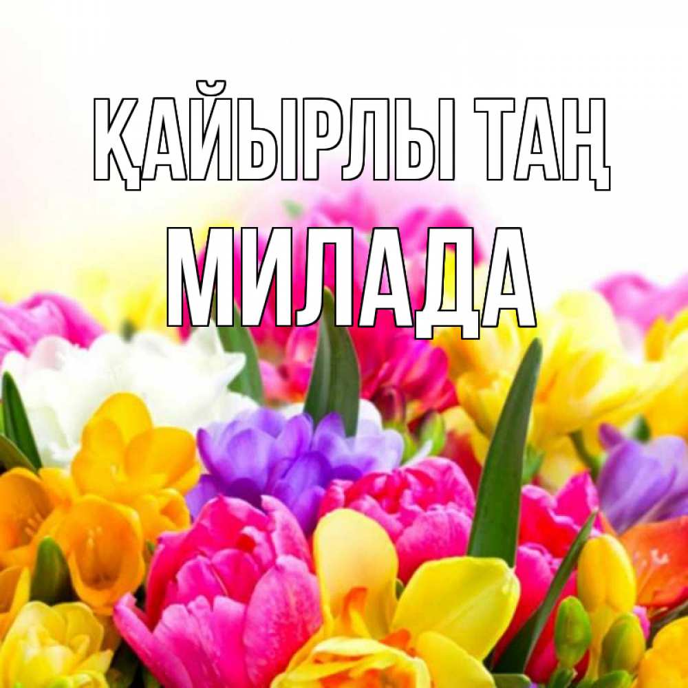 Күн сайын ашық хат с именем, Милада Қайырлы таң создать открытку со свое подписью Онлайн тегін жүктеп алу тілектері бар керемет карта 