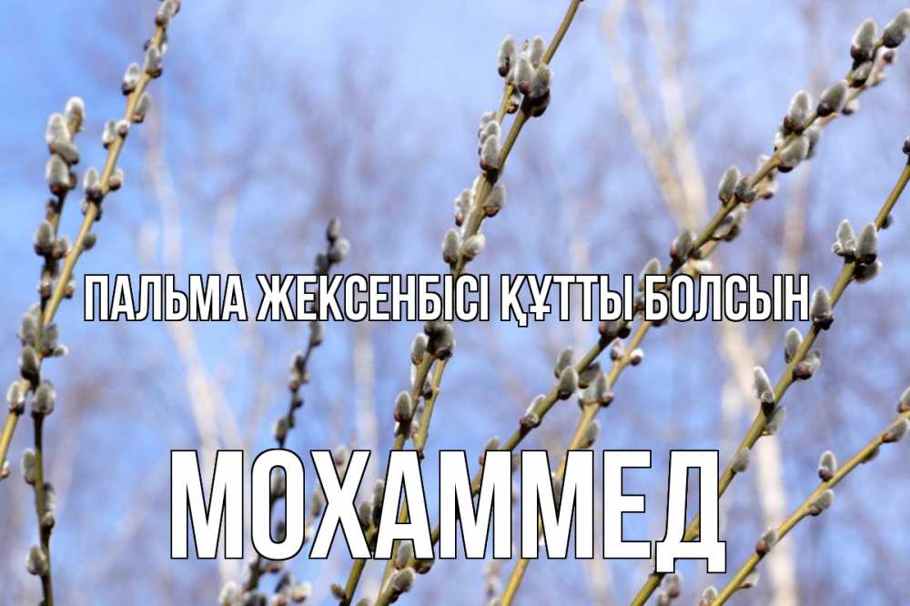 Күн сайын ашық хат с именем, Мохаммед Пальма жексенбісі құтты болсын верба Онлайн тегін жүктеп алу тілектері бар керемет карта 