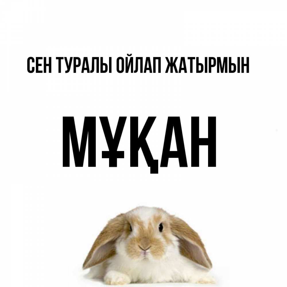 Күн сайын ашық хат с именем, Мұқан Сен туралы ойлап жатырмын подписать своими руками онлайн Онлайн тегін жүктеп алу тілектері бар керемет карта 