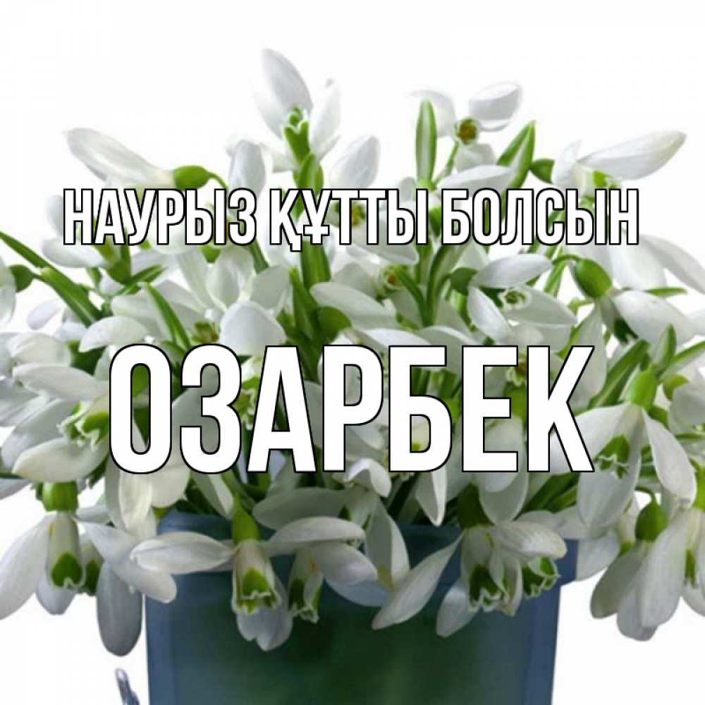 Күн сайын ашық хат с именем, ОЗАРБЕК Наурыз құтты болсын цветы к наурызу Онлайн тегін жүктеп алу тілектері бар керемет карта 
