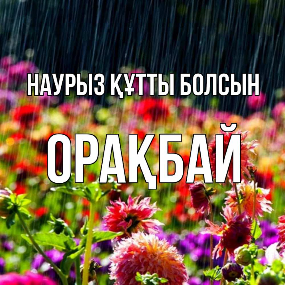 Күн сайын ашық хат с именем, ОРАҚБАЙ Наурыз құтты болсын цветы под дождиком к наурызу Онлайн тегін жүктеп алу тілектері бар керемет карта 