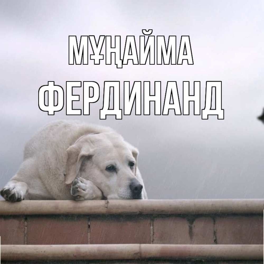 Күн сайын ашық хат с именем, Фердинанд Мұңайма белый пес 1 Онлайн тегін жүктеп алу тілектері бар керемет карта 