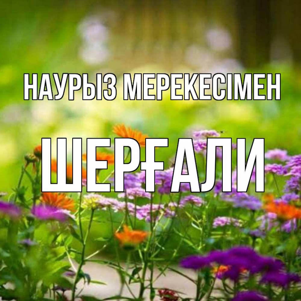 Күн сайын ашық хат с именем, ШЕРҒАЛИ Наурыз мерекесімен цветы Онлайн тегін жүктеп алу тілектері бар керемет карта 