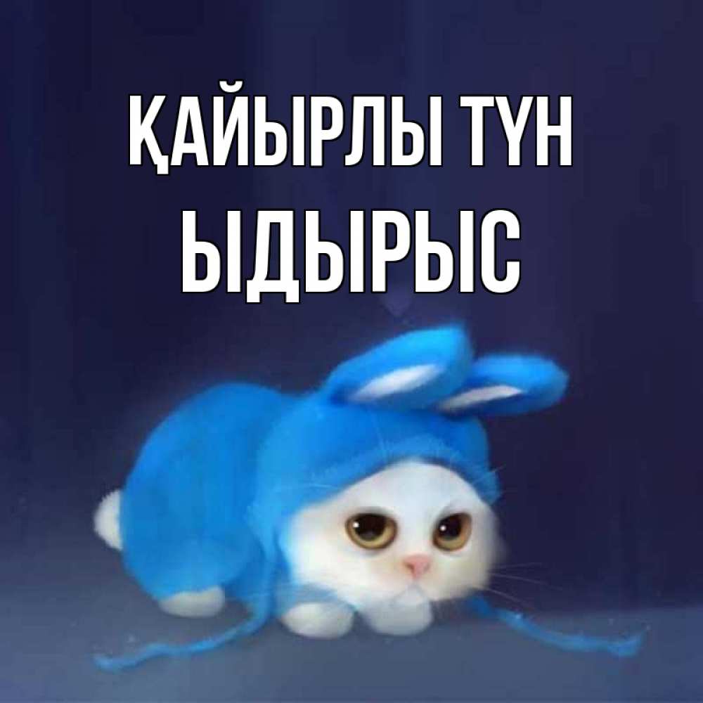 Күн сайын ашық хат с именем, ЫДЫРЫС Қайырлы түн кот в голубом костюме кролика с ушками Онлайн тегін жүктеп алу тілектері бар керемет карта 
