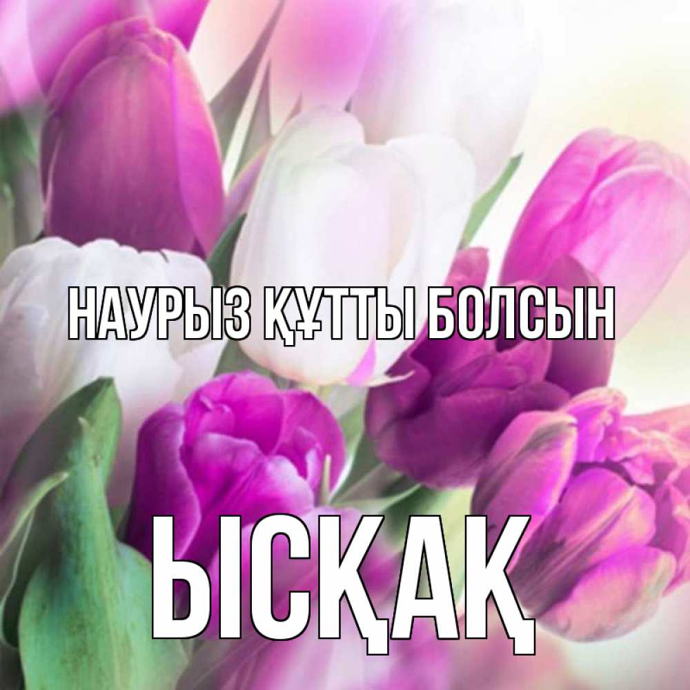 Күн сайын ашық хат с именем, ЫСҚАҚ Наурыз құтты болсын весна 1 Онлайн тегін жүктеп алу тілектері бар керемет карта 