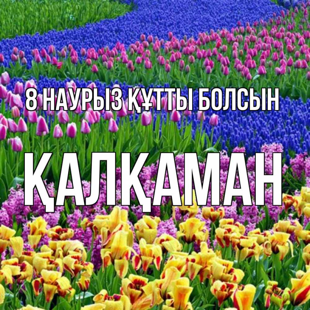 Күн сайын ашық хат с именем, Қалқаман 8 наурыз құтты болсын цветы Онлайн тегін жүктеп алу тілектері бар керемет карта 
