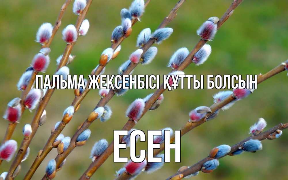 Картинка Пальма жексенбісі құтты болсын, Есен