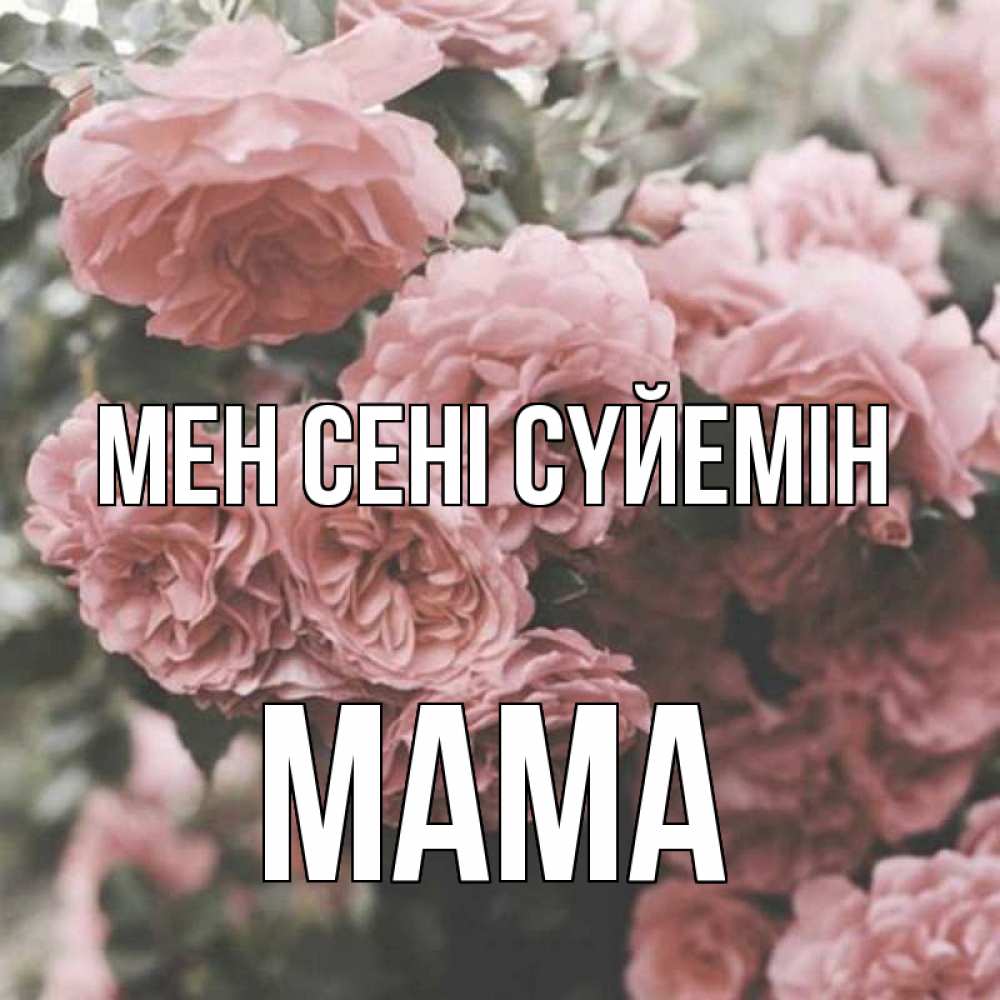 Күн сайын ашық хат с именем, Мама Мен сені сүйемін розы 3 Онлайн тегін жүктеп алу тілектері бар керемет карта 