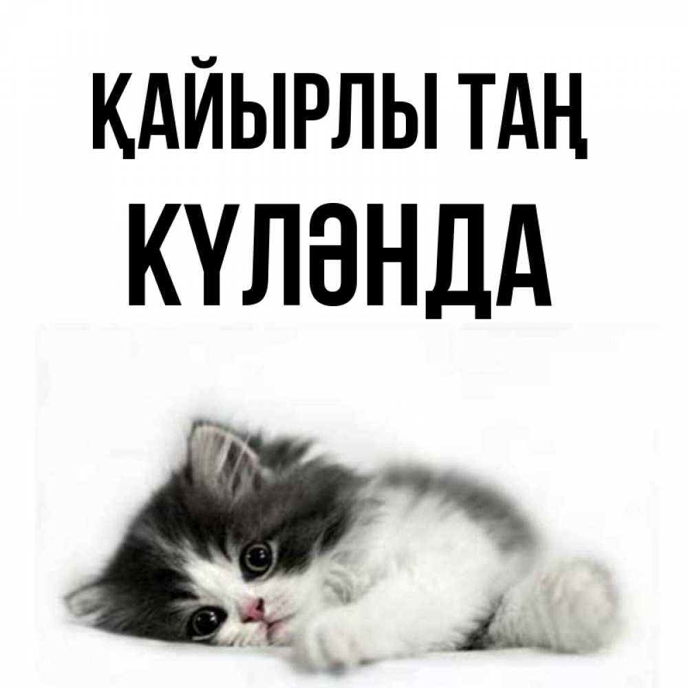 Күн сайын ашық хат с именем, КҮЛӘНДА Қайырлы таң кот лапки Онлайн тегін жүктеп алу тілектері бар керемет карта 
