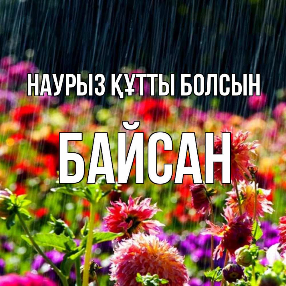 Күн сайын ашық хат с именем, Байсан Наурыз құтты болсын цветы под дождиком к наурызу Онлайн тегін жүктеп алу тілектері бар керемет карта 