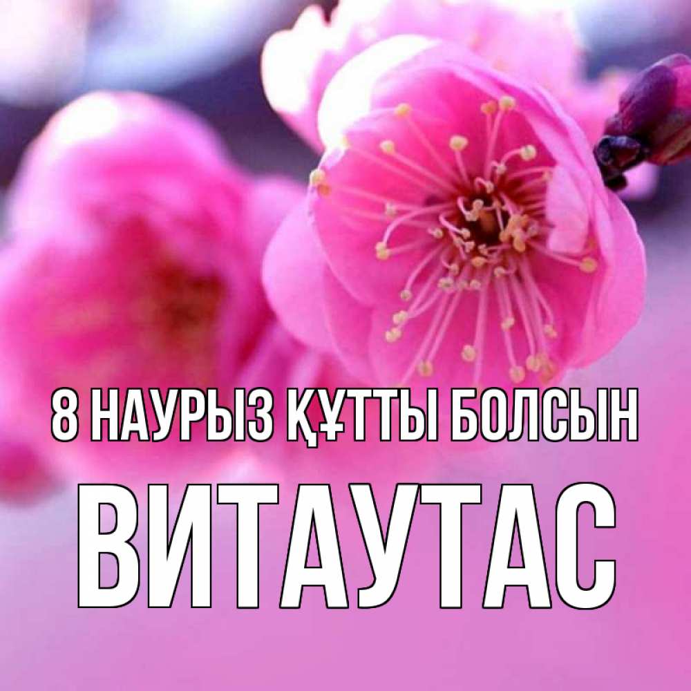 Күн сайын ашық хат с именем, Витаутас 8 наурыз құтты болсын международный женский день Онлайн тегін жүктеп алу тілектері бар керемет карта 