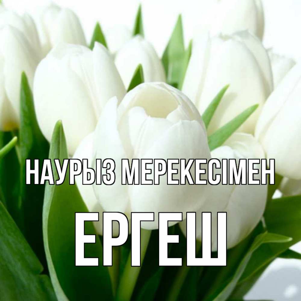 Күн сайын ашық хат с именем, Ергеш Наурыз мерекесімен цветы Онлайн тегін жүктеп алу тілектері бар керемет карта 