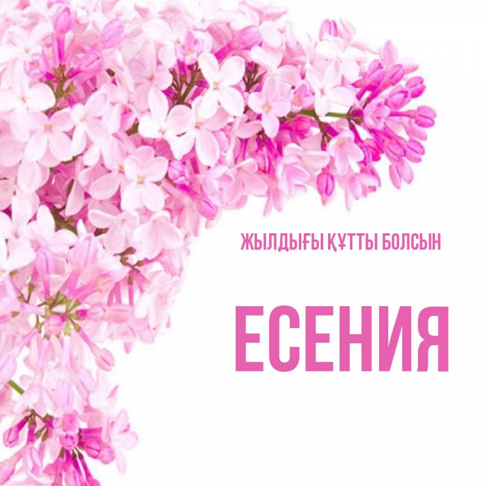 Күн сайын ашық хат с именем, Есения Жылдығы құтты болсын Сирень на белом фоне Онлайн тегін жүктеп алу тілектері бар керемет карта 